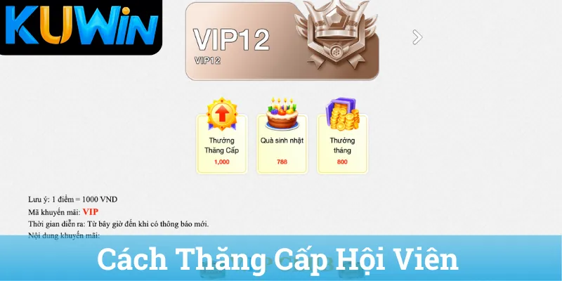 Cach Thang Cap Hoi Vien Cách Thăng Cấp Hội Viên